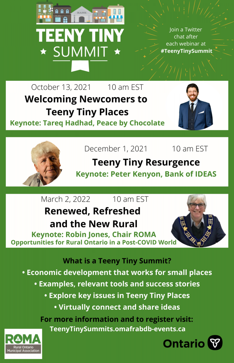 Teeny Tiny Summit Webinar Flyer